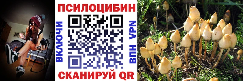Купить закладки  Ардатов  Галлюциногенные грибы GOLDEN TEACHER 