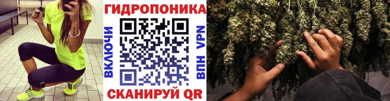 МАРИХУАНА планчик Ардатов